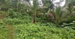 Tanah kebun los sungai kontur datar melandai