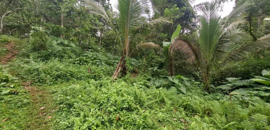 Tanah kebun los sungai kontur datar melandai