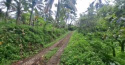 Tanah kebun los sungai kontur datar melandai