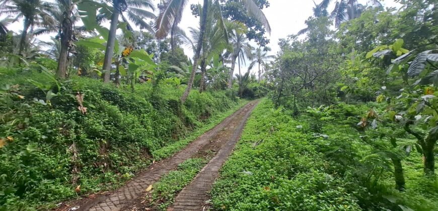 Tanah kebun los sungai kontur datar melandai