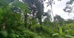 Tanah kebun los sungai kontur datar melandai