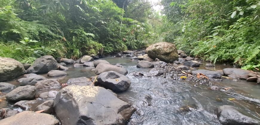 Tanah kebun los sungai kontur datar melandai