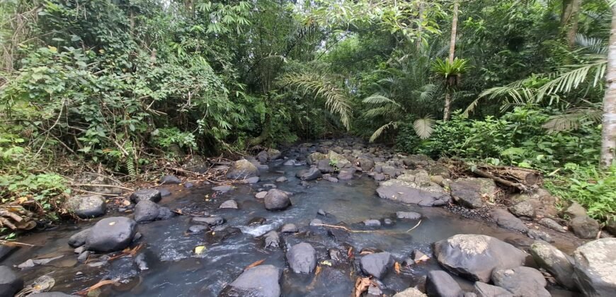 Tanah kebun los sungai kontur datar melandai