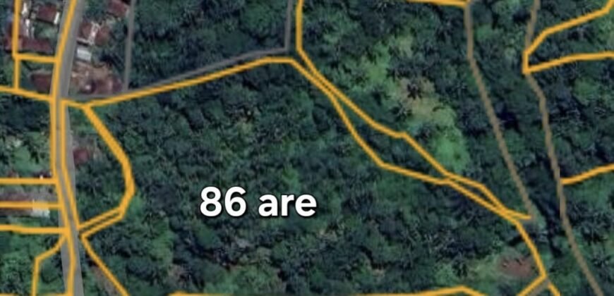 Tanah kebun los sungai kontur datar melandai