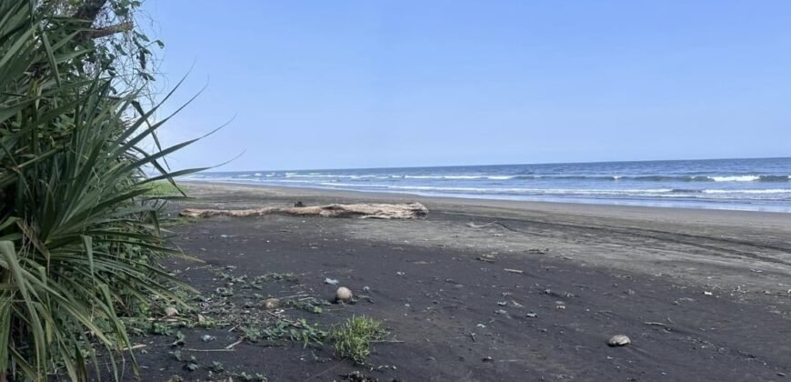 Tanah los pantai di jembrana