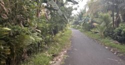 Tanah los pantai di jembrana