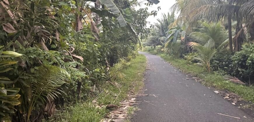 Tanah los pantai di jembrana