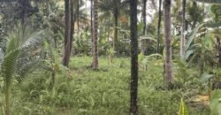 Tanah los pantai di jembrana