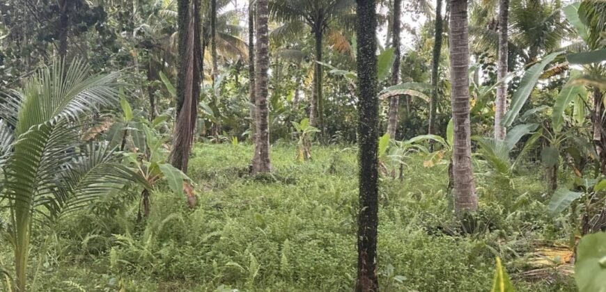Tanah los pantai di jembrana