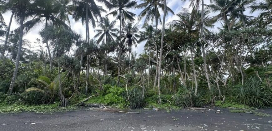 Tanah los pantai di jembrana