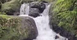 Dijual tanah luasan kecil di daerah wisata munduk buleleng los sungai jernih