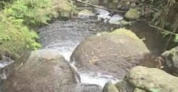 Dijual tanah luasan kecil di daerah wisata munduk buleleng los sungai jernih