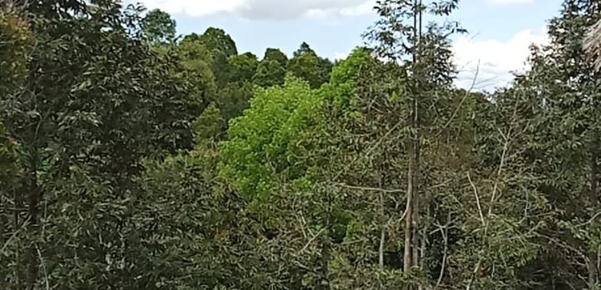 Dijual tanah luasan kecil di daerah wisata munduk buleleng los sungai jernih