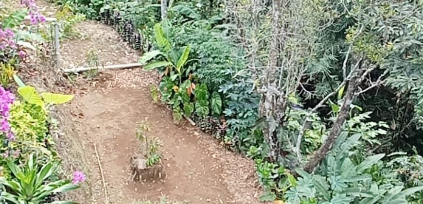 Dijual tanah luasan kecil di daerah wisata munduk buleleng los sungai jernih