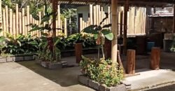 Dijual tanah luasan kecil di daerah wisata munduk buleleng los sungai jernih