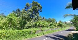 Kebun durian dan manggis siap panen los sungai