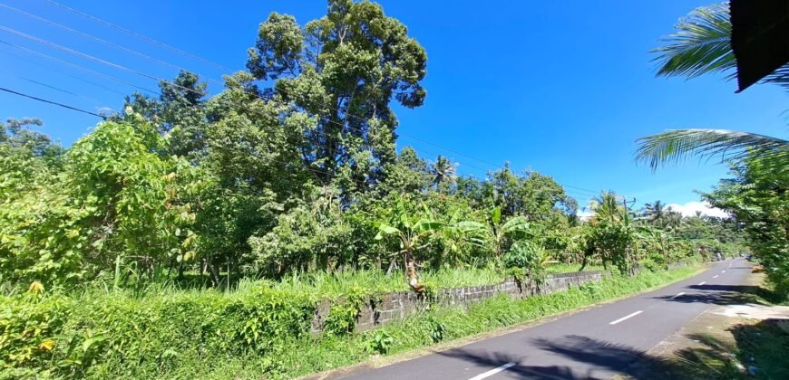 Kebun durian dan manggis siap panen los sungai