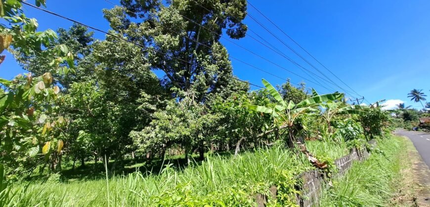 Kebun durian dan manggis siap panen los sungai