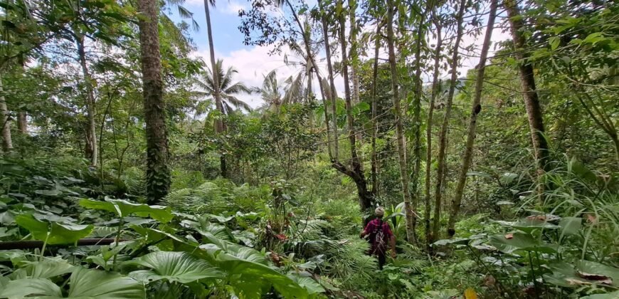 Tanah kebun los sungai jernih berbatu dan view lembah