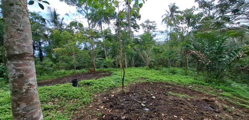 Tanah kebun los sungai jernih berbatu dan view lembah