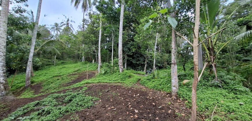 Tanah kebun los sungai jernih berbatu dan view lembah