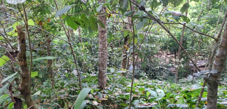 Tanah kebun los sungai jernih berbatu dan view lembah