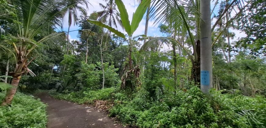 Tanah kebun los sungai jernih berbatu dan view lembah