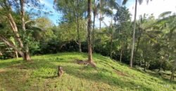 Tanah kebun murah di selemadeg tabanan