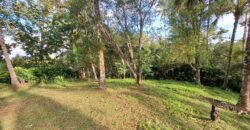 Tanah kebun murah di selemadeg tabanan