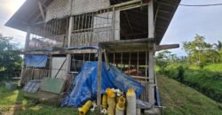 Tanah view sawah dan gunung ketinggian 600 mdpl