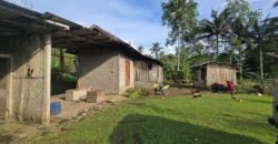 Tanah view sawah dan gunung ketinggian 600 mdpl