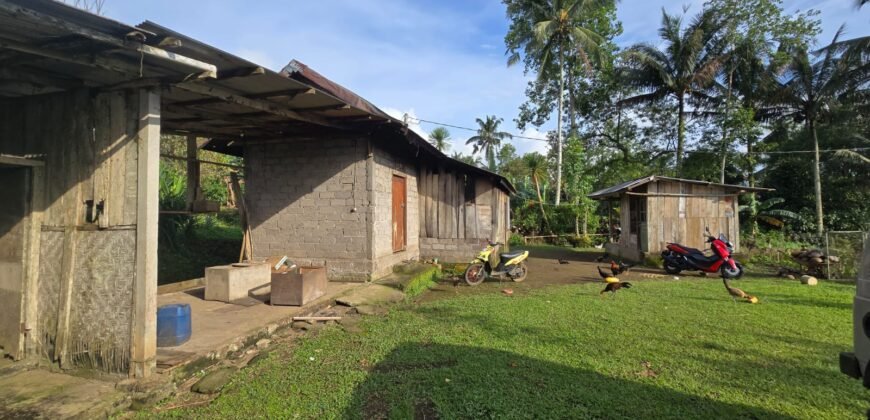 Tanah view sawah dan gunung ketinggian 600 mdpl