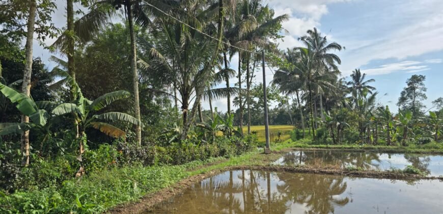 Tanah view sawah dan gunung ketinggian 600 mdpl
