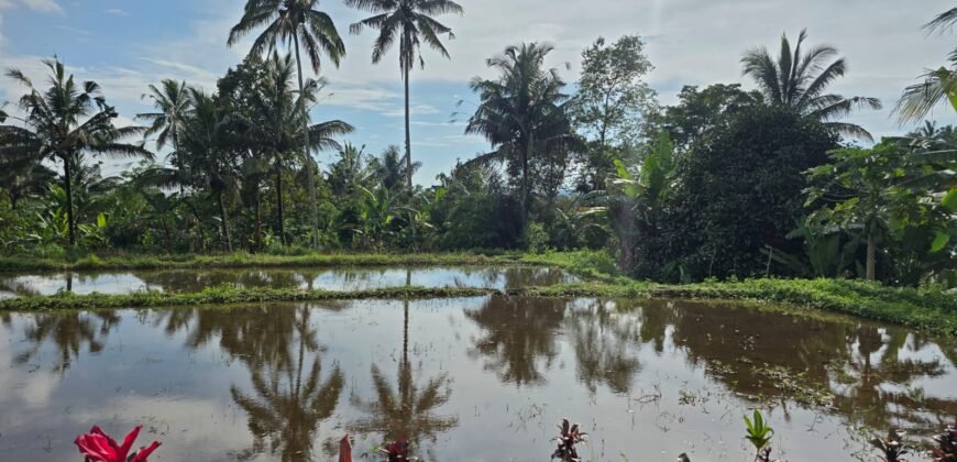 Tanah view sawah dan gunung ketinggian 600 mdpl