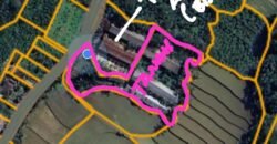 Tanah kebun view sawah terasering di ketinggian 700 mdpl