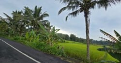 Tanah kebun view sawah terasering di ketinggian 700 mdpl