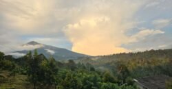 Tanah kebun kopi datar ketinggiang 800 mdpl dekat gunung watukau