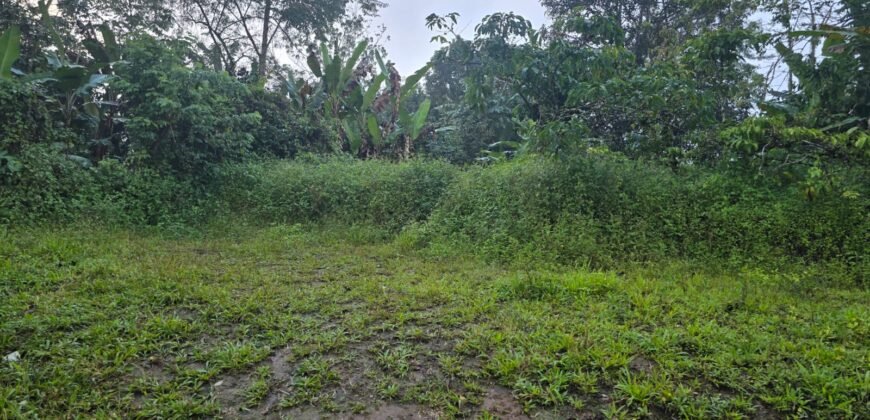 Tanah kebun kopi datar ketinggiang 800 mdpl dekat gunung watukau