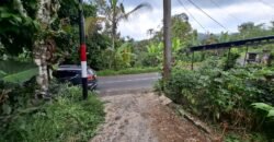 Tanah kebun kopi view gunung watukau di ketinggian 750mdpl