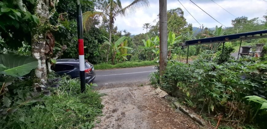 Tanah kebun kopi view gunung watukau di ketinggian 750mdpl