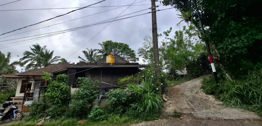 Tanah kebun kopi view gunung watukau di ketinggian 750mdpl
