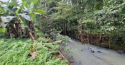 Tanah kebun los sungai dekat dengan villa dan akses treking ke air terjun singsing angin di selemadeg