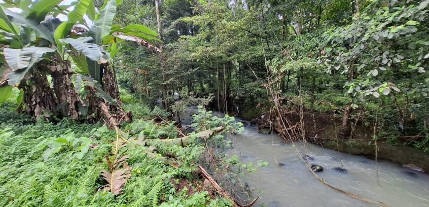 Tanah kebun los sungai dekat dengan villa dan akses treking ke air terjun singsing angin di selemadeg