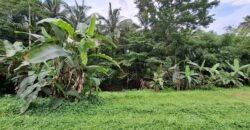 Tanah kebun los sungai dekat dengan villa dan akses treking ke air terjun singsing angin di selemadeg