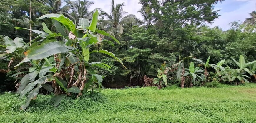 Tanah kebun los sungai dekat dengan villa dan akses treking ke air terjun singsing angin di selemadeg