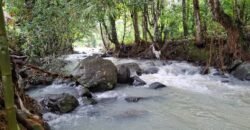 Tanah kebun los sungai dekat dengan villa dan akses treking ke air terjun singsing angin di selemadeg