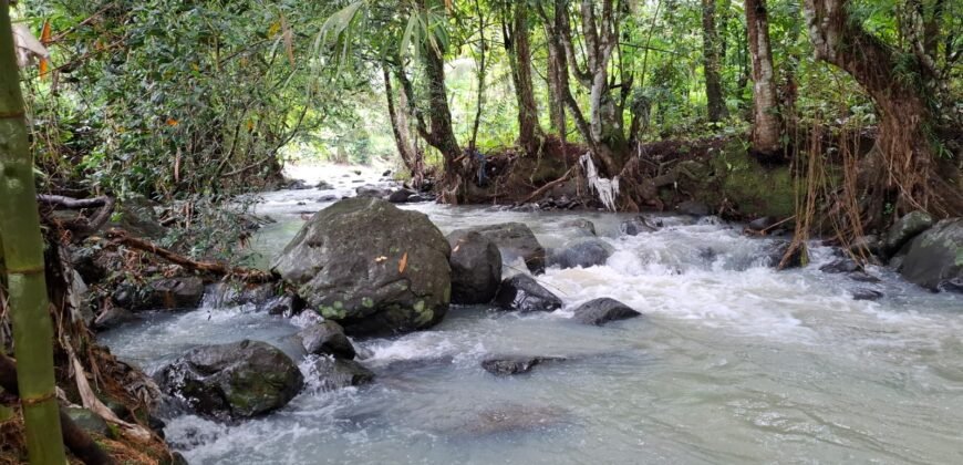 Tanah kebun los sungai dekat dengan villa dan akses treking ke air terjun singsing angin di selemadeg