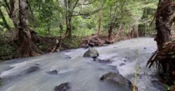 Tanah kebun los sungai dekat dengan villa dan akses treking ke air terjun singsing angin di selemadeg