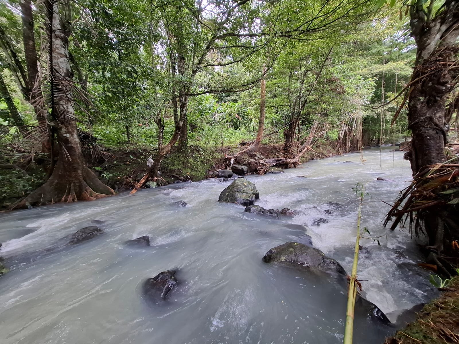 Tanah kebun los sungai dekat dengan villa dan akses treking ke air terjun singsing angin di selemadeg