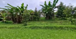 Tanah kebun los sungai dekat dengan villa dan akses treking ke air terjun singsing angin di selemadeg